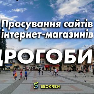 Продвижение сайтов, интернет-магазинов и SaaS в Дрогобыче