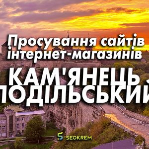 Продвижение сайтов, интернет-магазинов и SaaS в Каменец-Подольском